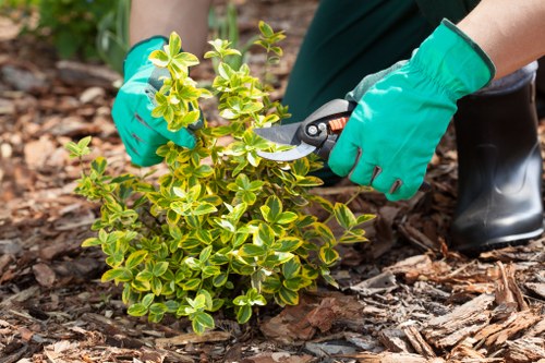 Staff doing garden maintenance demonstrating safe technique