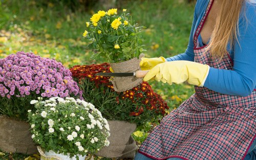 Technician inspecting and maintaining powered garden machinery