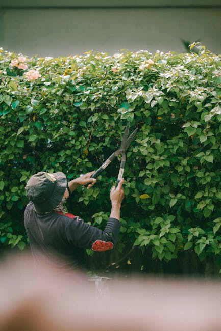 A gardener wearing a navy blue uniform with reflective yellow stripes and a protective yellow helmet is using a portable hedge trimmer to trim a neatly maintained hedge along a paved pathway in a park